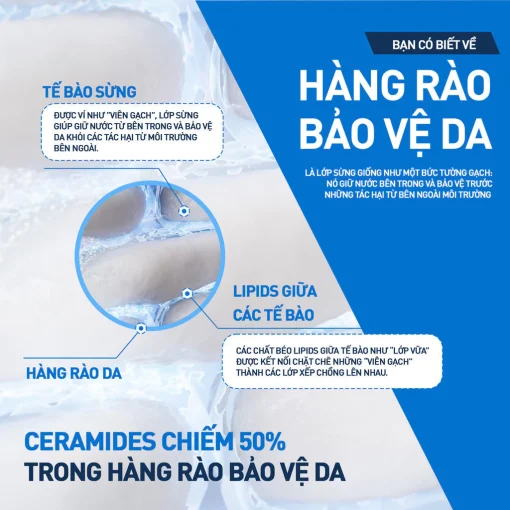 Kem dưỡng ẩm phục hồi chuyên sâu và giữ da ẩm mịn suốt 48H CERAVE MOISTURISING CREAM 340G - Hình ảnh 4